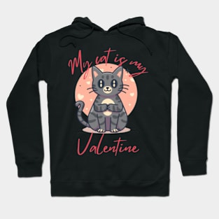 my cat is my valentine Hoodie